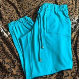 New York Clothing Co Pull On Crinkle Pants Petite L